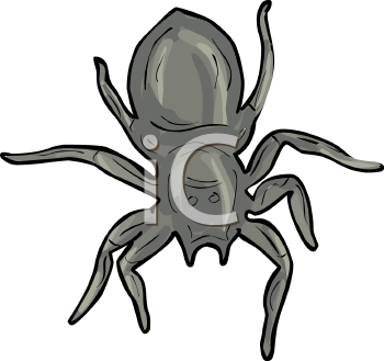 Arachnid Clipart