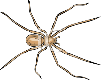 Arachnid Clipart