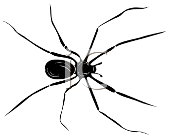 Arachnid Clipart