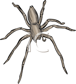 Arachnid Clipart