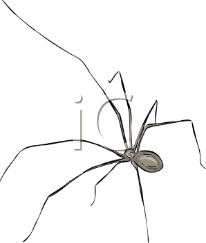 Arachnid Clipart