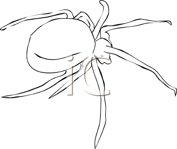 Arachnid Clipart