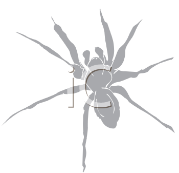 Arachnid Clipart