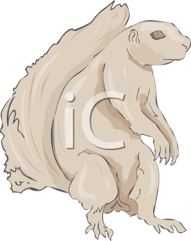 Rodent Clipart