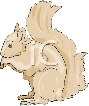 Rodent Clipart