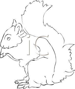 Rodent Clipart