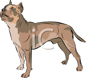 Dog Clipart
