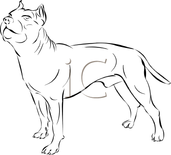 Dog Clipart