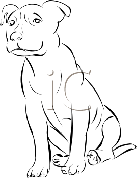 Pet Clipart