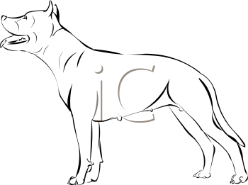 Pet Clipart