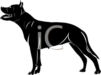 Pet Clipart