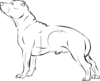 Farm Animal Clipart