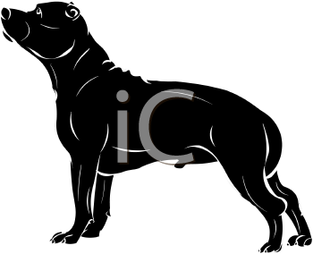 Pet Clipart