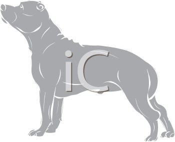 Pet Clipart