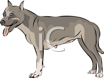 Dog Clipart