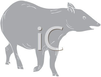 Mammal Clipart