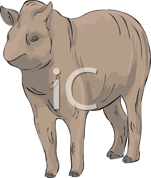 Mammal Clipart
