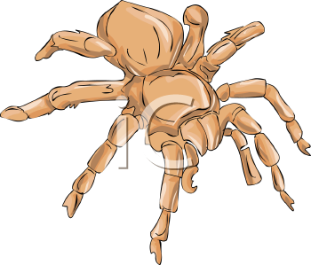 Arachnid Clipart