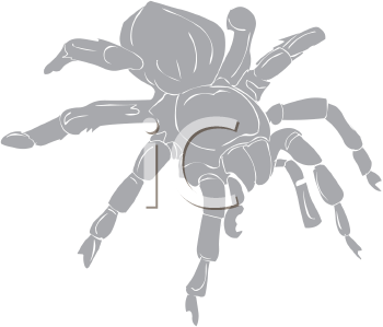 Arachnid Clipart