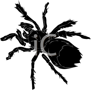 Arachnid Clipart