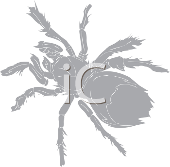 Arachnid Clipart