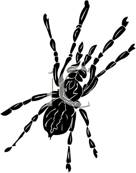 Arachnid Clipart