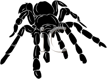 Arachnid Clipart