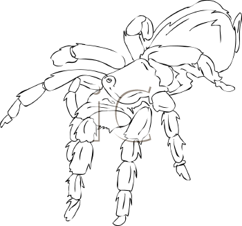Arachnid Clipart