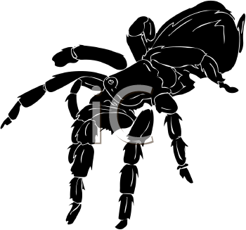 Arachnid Clipart