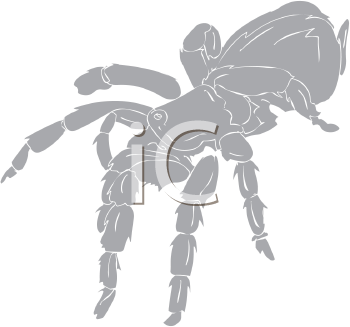 Arachnid Clipart