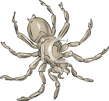 Arachnid Clipart