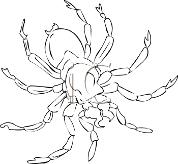 Arachnid Clipart