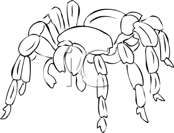 Arachnid Clipart