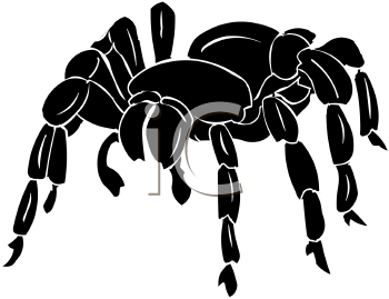 Arachnid Clipart