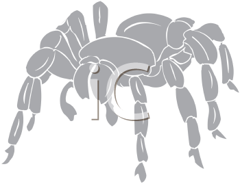 Arachnid Clipart