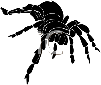 Arachnid Clipart