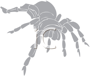 Arachnid Clipart