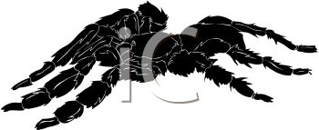 Arachnid Clipart
