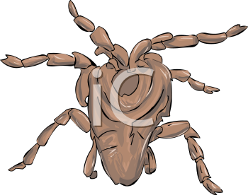Arachnid Clipart