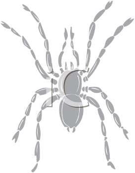 Arachnid Clipart