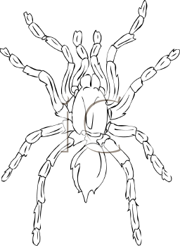 Arachnid Clipart