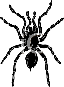 Arachnid Clipart