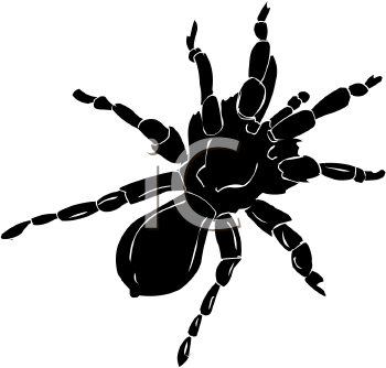 Arachnid Clipart