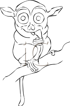 Primate Clipart