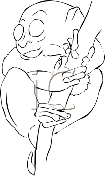 Primate Clipart