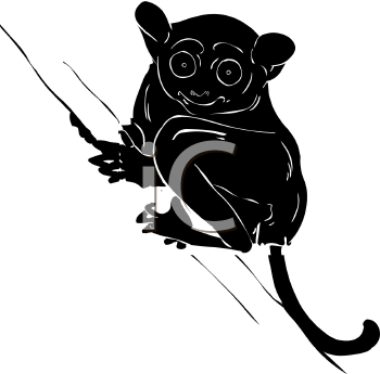Primate Clipart