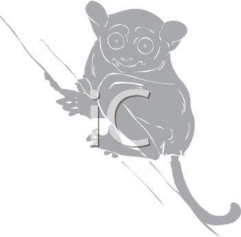 Primate Clipart