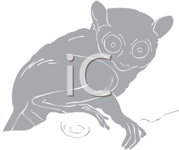 Primate Clipart