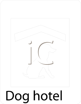 Pet Clipart