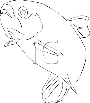 Fish and Sea Life Clipart